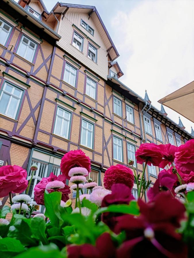 Bergsteigerbude แวร์นิกโกโรเดอ ภายนอก รูปภาพ